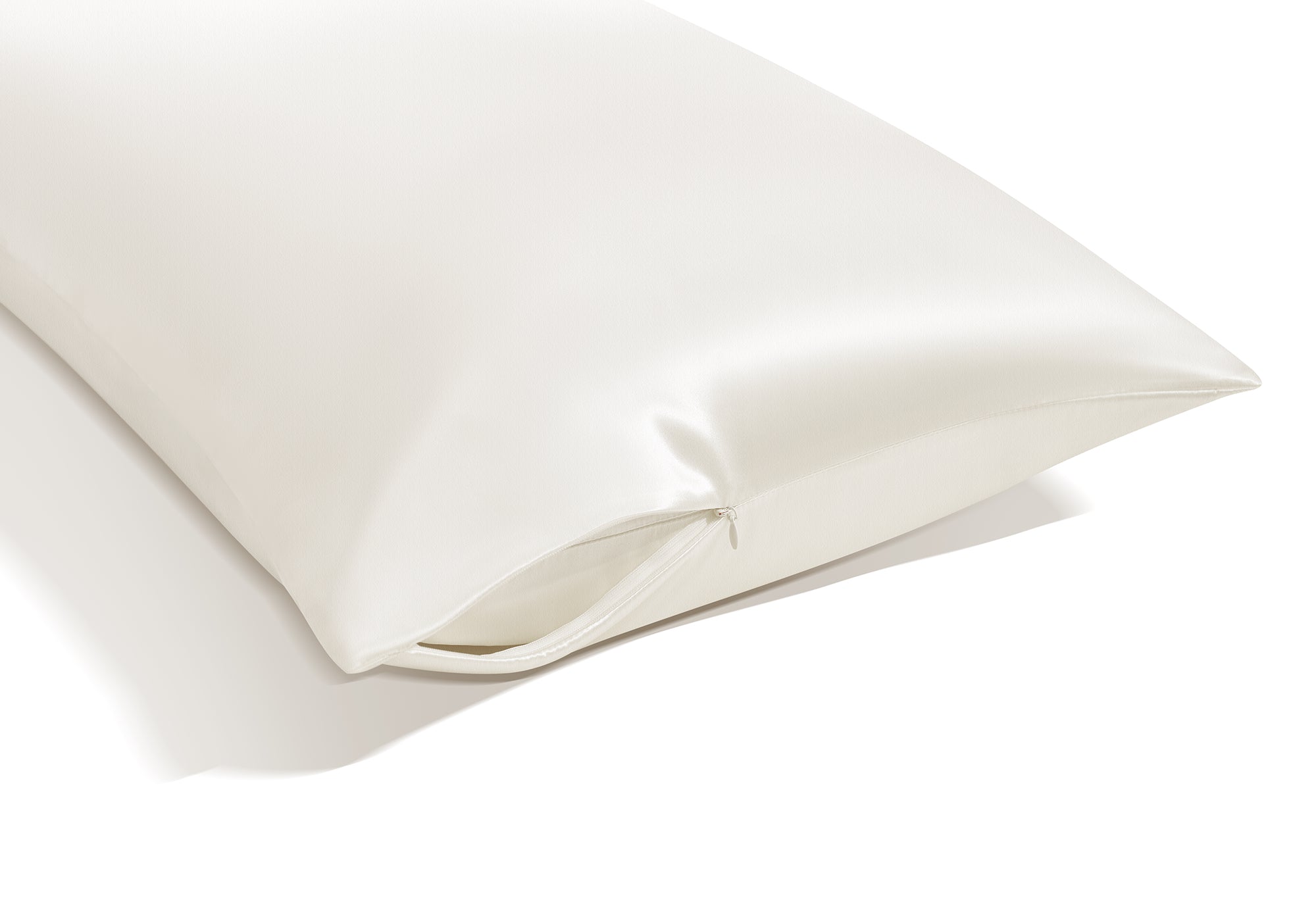 SPC-Buy-Box-4_4582c9ff-b74f-4b03-9cfc-abeb4bc0b258.jpg